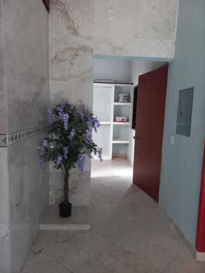 Departamento Tayde Apartman San José del Cabo Kültér fotó